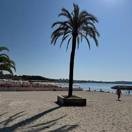 Grand Sur Le Port De Golfe Juan